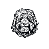 Goldendoodle Doodle Chien