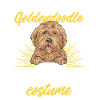 Goldendoodle Doodle Dog