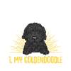 Chien Doodle Black Goldendoodle