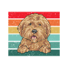 Goldendoodle Doodle Chien