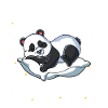 Schlafpanda Ich schlafe regelmäßig