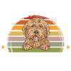 Goldendoodle Doodle Chien
