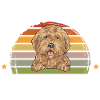 Goldendoodle Doodle Chien