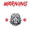 Goldendoodle Doodle Dog