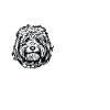 Goldendoodle Doodle Chien