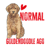 Goldendoodle Doodle Chien