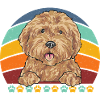Goldendoodle Doodle Dog