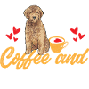 Goldendoodle Doodle Chien