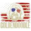 Goldendoodle Doodle Chien