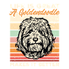 Goldendoodle Doodle Chien