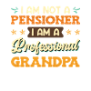 Professional Grandpa Pension Pensioner