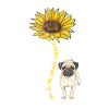 Pug