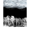 La forêt