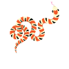 Snakes are just dangerous noodles