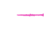 Clarinet musician