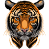 Tiger head