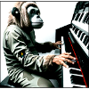 APE Playing Piano