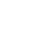 1980 Édition limitée