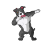 American Staffordshire Terrier