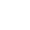 1977 Limited Edition