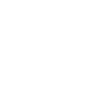 1981 Édition limitée