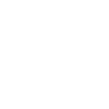 1991 Édition limitée