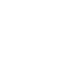 1989 Édition limitée