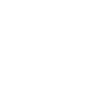 1988 Édition limitée