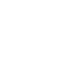 1994 Édition limitée