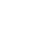 1999 Édition Limitée