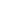 1995 Édition limitée