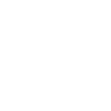 1998 Édition limitée