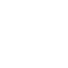 1996 Édition limitée