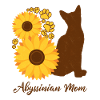 Mère Tournesol - Chat Abyssin