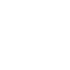 2007 Limited Edition