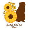 Sunflower Mother - Scottish Folding Cat