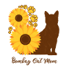 Mère Tournesol - Bombay Cat