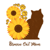 Sonnenblumenmutter - Birma-Katze