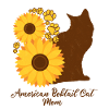 Sunflower Mom - American Bobtail Cat