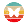 Papillon Rétro