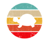 Tortue Rétro