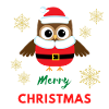 Merry Christmas Eule
