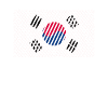 South Korea Flag
