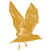 Mouette dorée