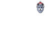 Wolf Pixélisé Noël - Merry Wolf