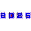 2025 Year Number