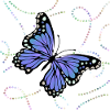 Schmetterling