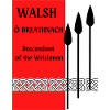 Walsh Surname