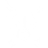 Boston Terrier
