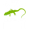 Lizard Reptile Herpetology Herpetologist